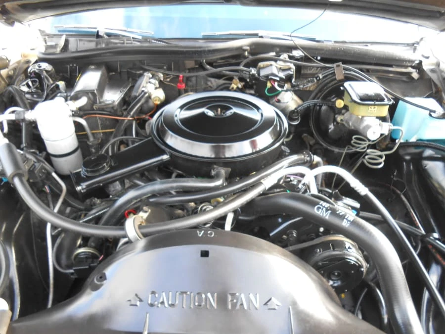 1986 Pontiac Parisienne - Image 20 of 23