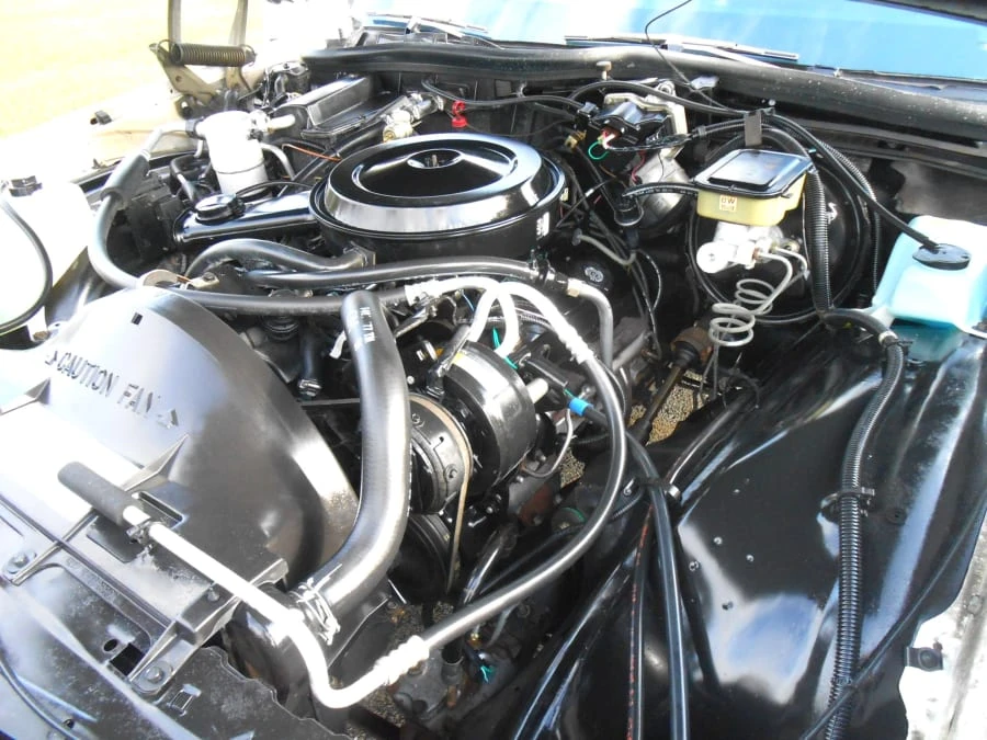 1986 Pontiac Parisienne - Image 19 of 23