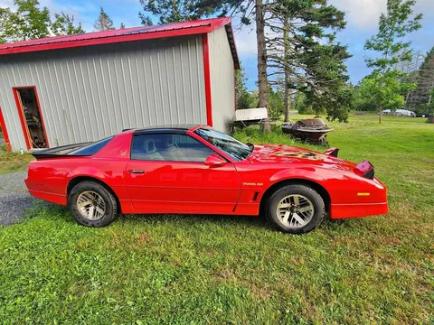 1986 Pontiac Trans Am