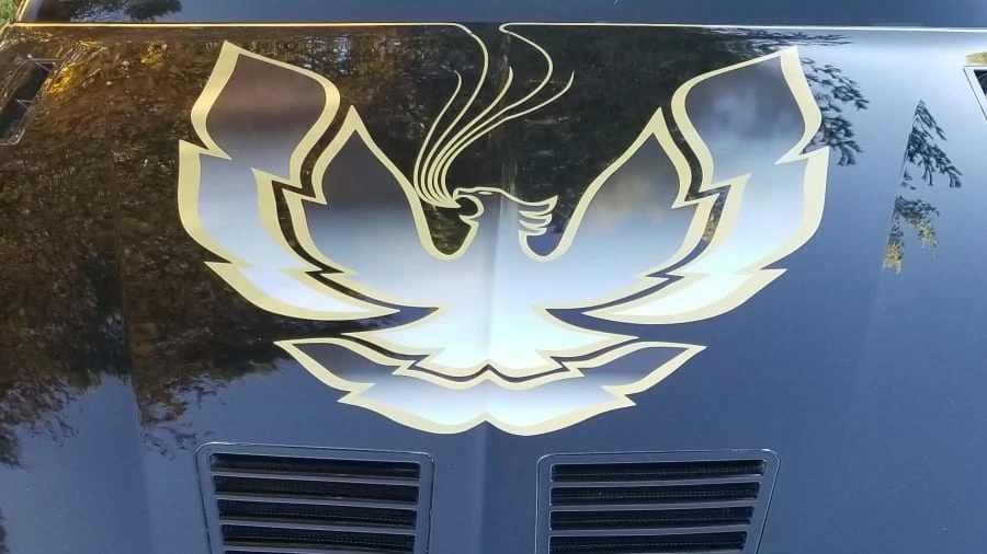 1986 Pontiac Firebird Trans Am 3rd Gen - Image 3 of 6