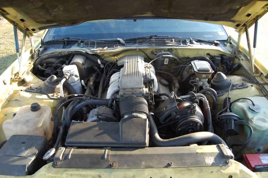 1986 Pontiac Firebird Trans Am 3rd Gen - Image 5 of 8