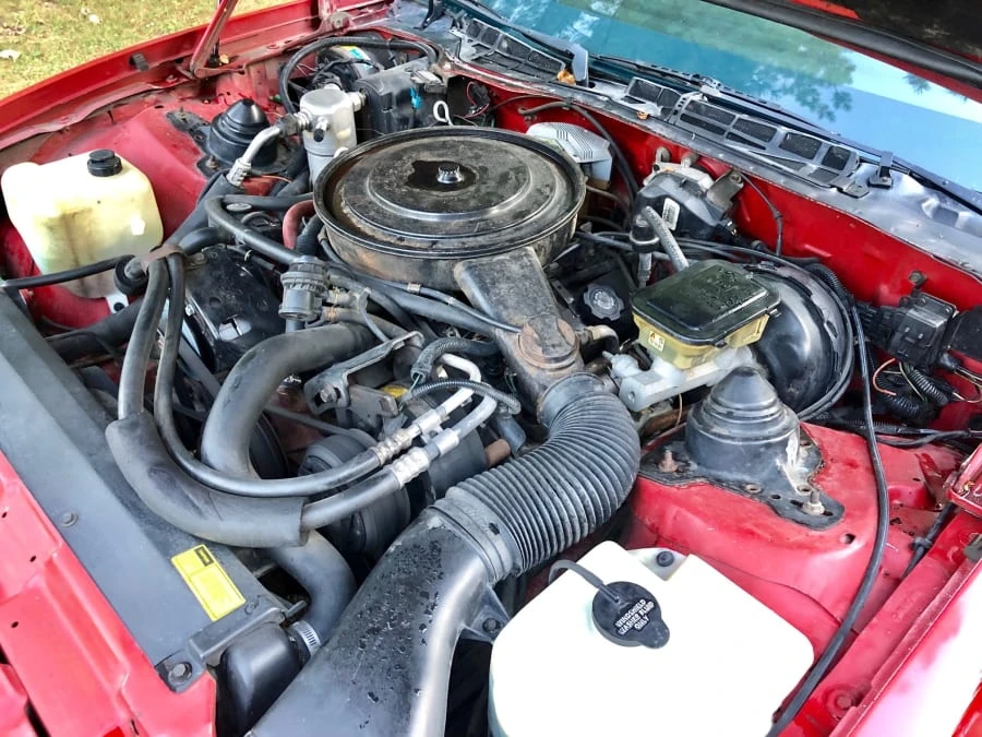 1986 Pontiac Firebird Trans Am 3rd Gen - Image 7 of 11
