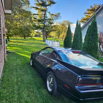 1986 Pontiac Firebird Trans Am