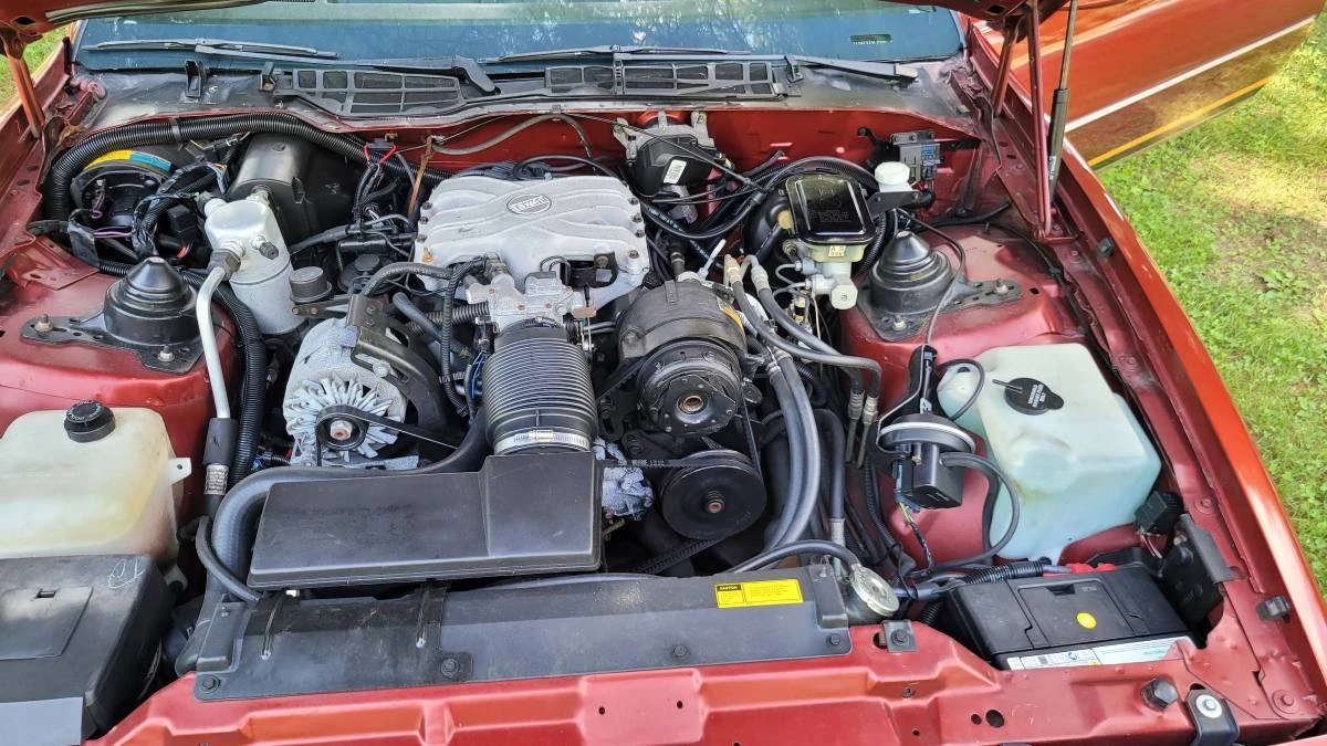 1986 Pontiac Firebird 3rd Gen - Image 20 of 20