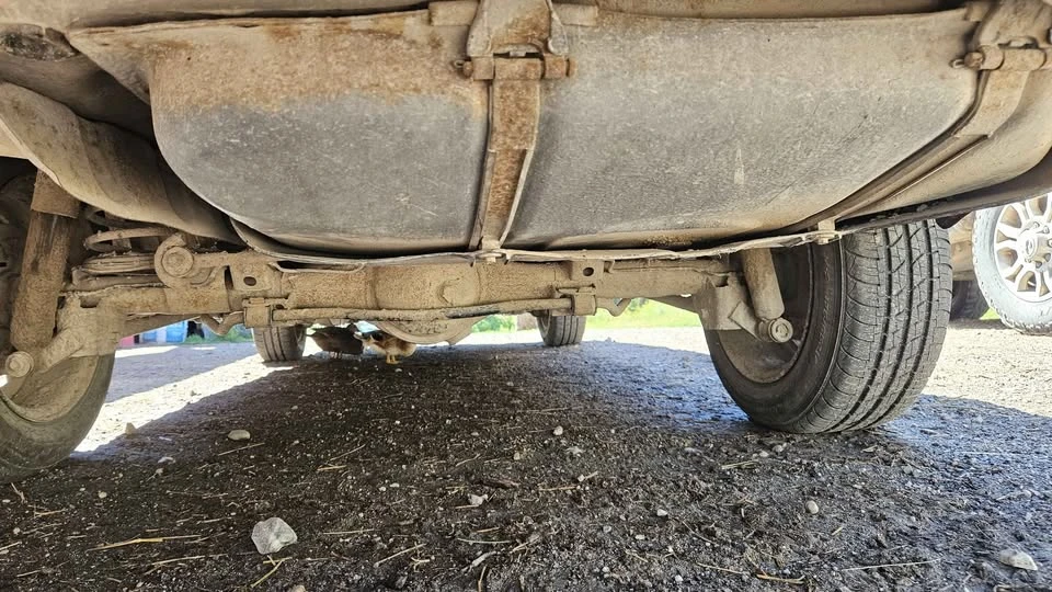 1986 Toyota Tercel 3rd Gen - Image 8 of 16