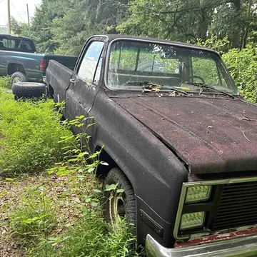 1986 Chevrolet C10