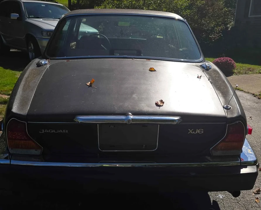 1986 Jaguar XJ Series 3 - Image 4 of 10