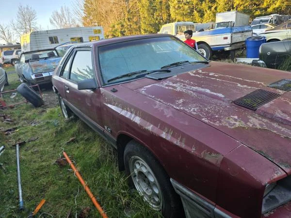 1986 Mercury Capri - Image 2 of 8