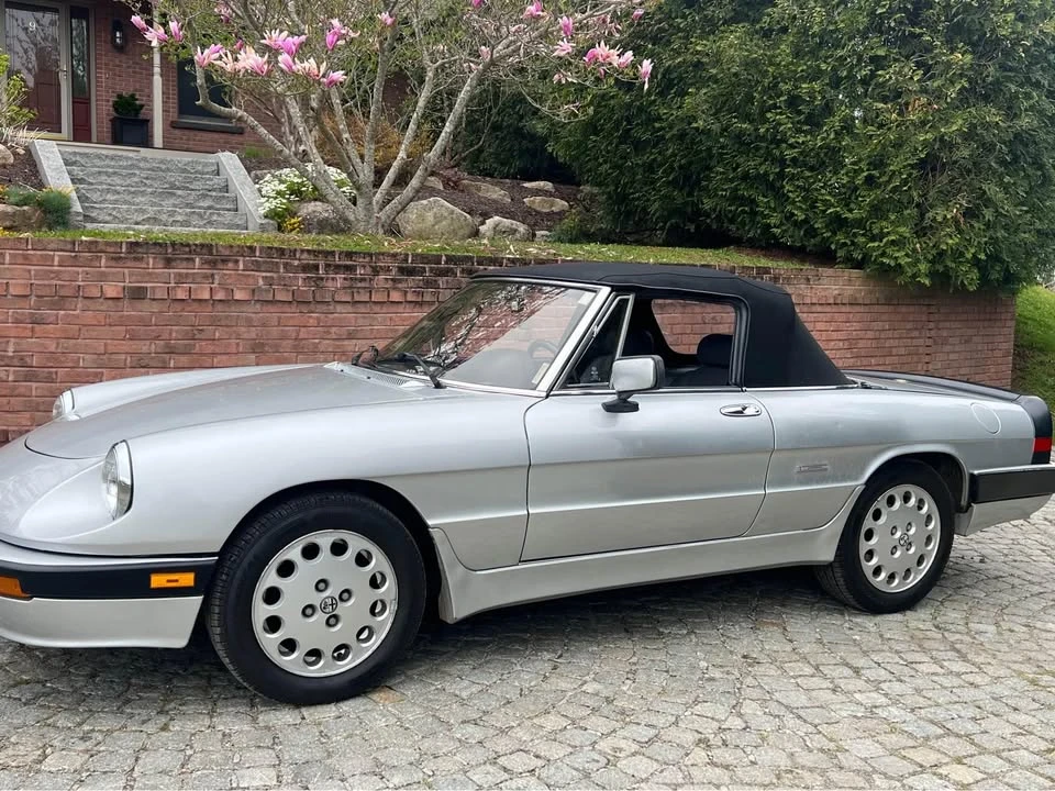 1987 Alfa Romeo Series 3 - Image 8 of 10