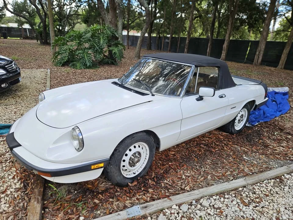 1987 Alfa Romeo Series 3 - Image 9 of 17