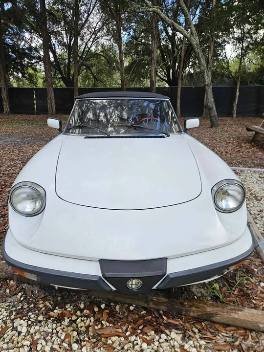 1987 Alfa Romeo Series 3 - Image 6 of 17