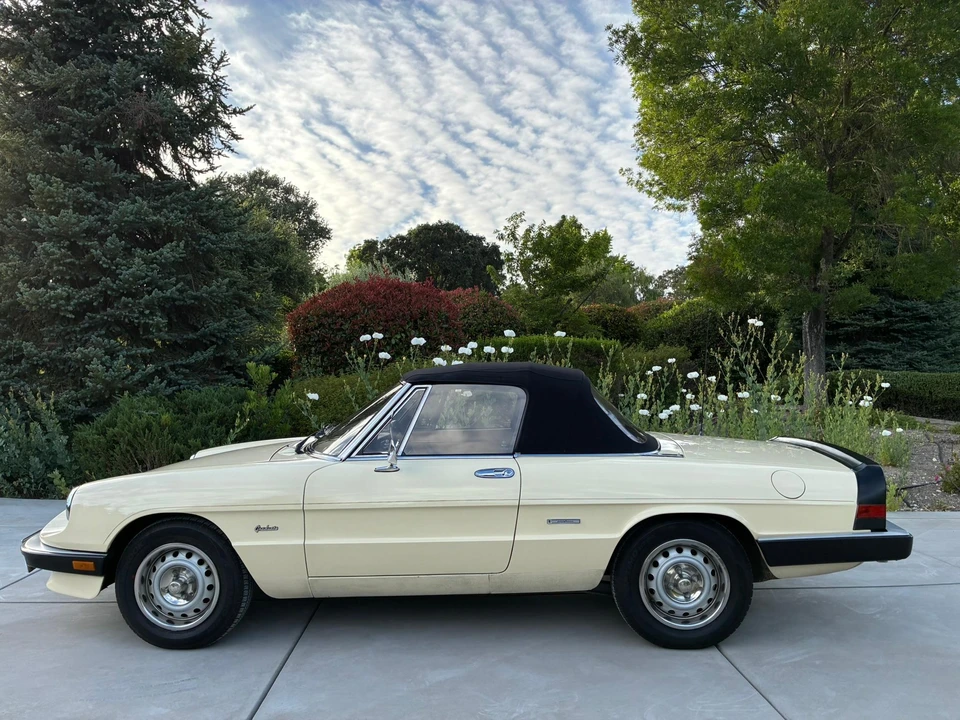 1987 Alfa Romeo Series 3 - Image 8 of 31