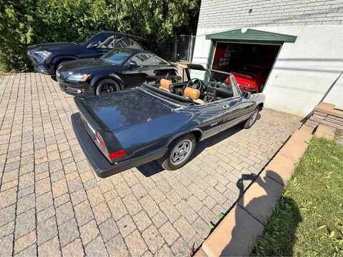 1987 Alfa Romeo Spider