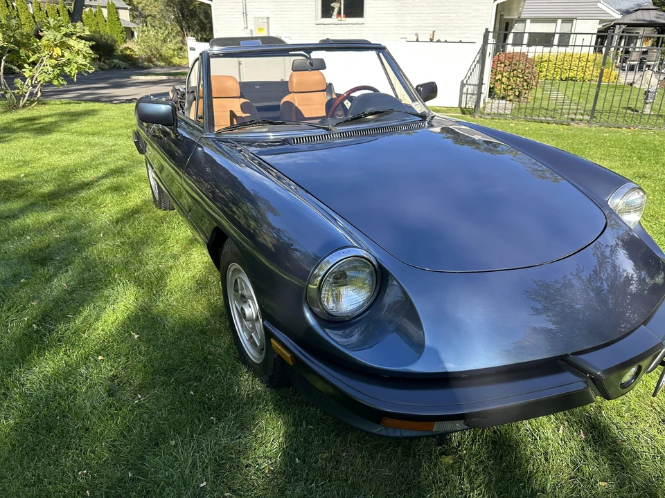1987 Alfa Romeo Series 3 - Image 16 of 31
