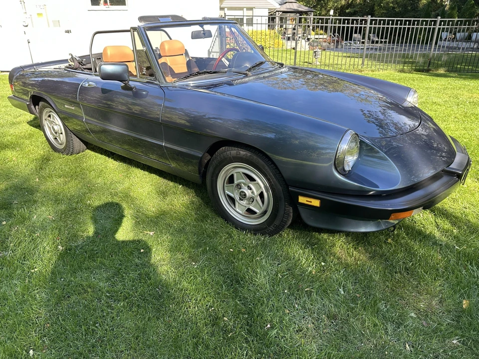 1987 Alfa Romeo Series 3 - Image 15 of 31
