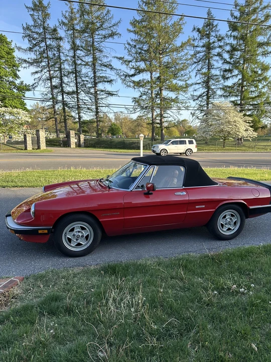 1987 Alfa Romeo Series 3 - Image 8 of 31