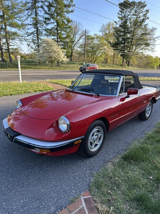 1987 Alfa Romeo Series 3 - Image 5 of 31