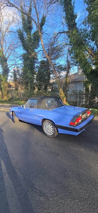 1987 Alfa Romeo Series 3 - Image 5 of 19