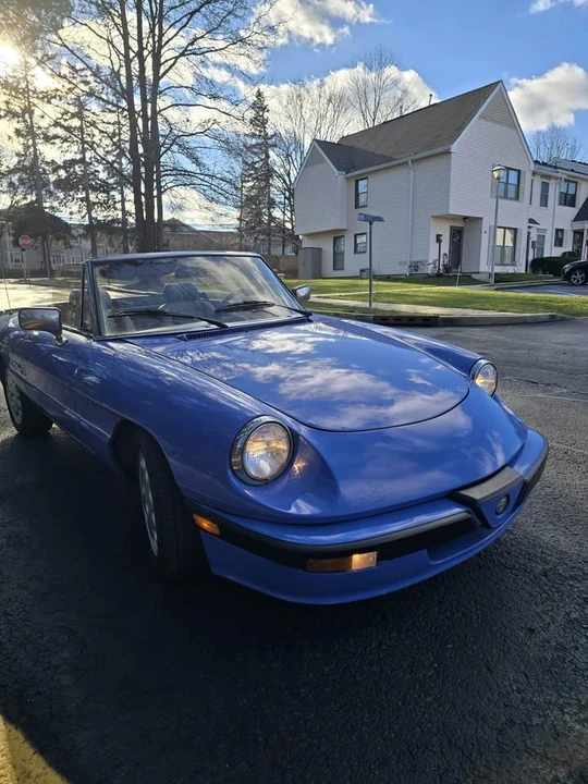 1987 Alfa Romeo 102-Series 2000 - Image 20 of 20