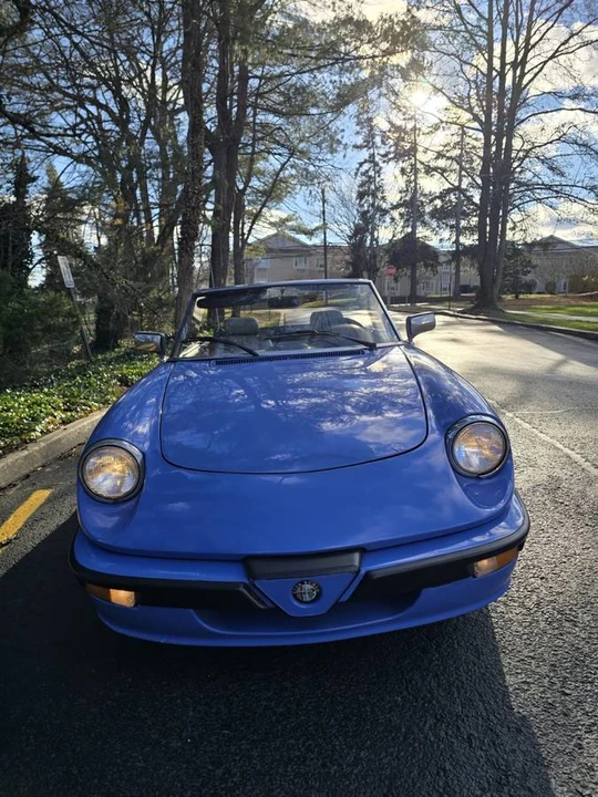 1987 Alfa Romeo Series 3 - Image 24 of 24