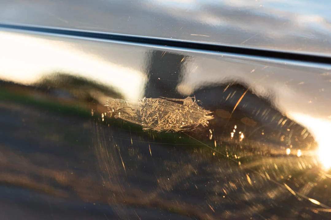 1987 BMW E24 6 Series - Image 21 of 29