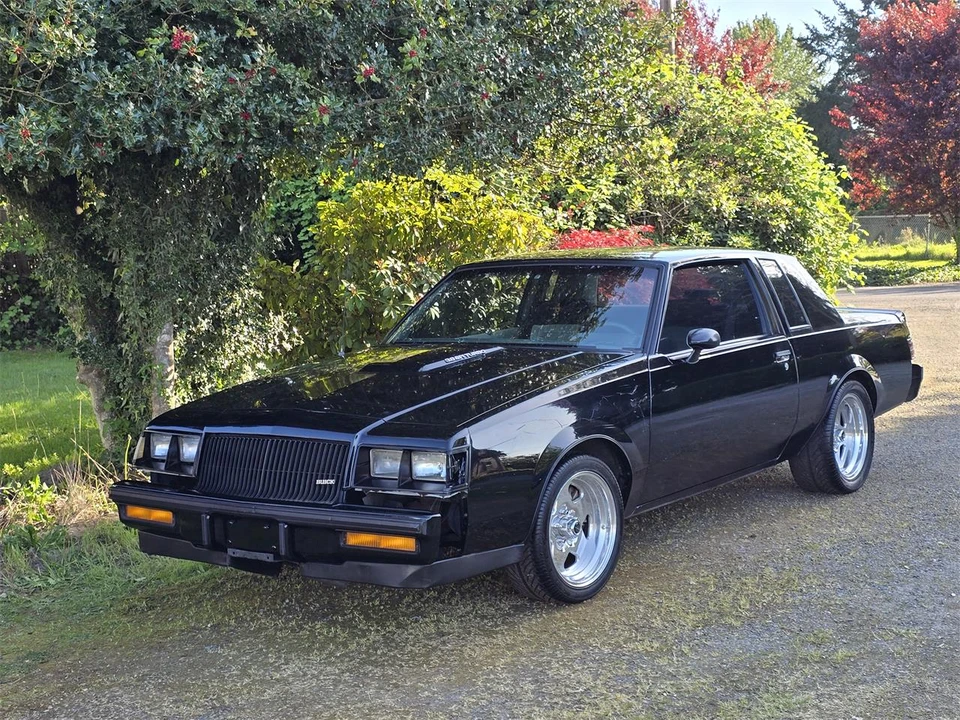 1987 Buick Grand National - Image 16 of 18