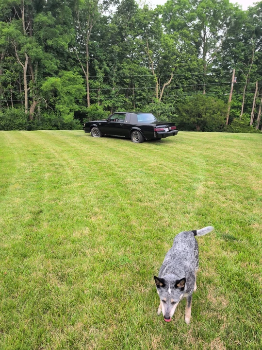 1987 Buick Grand National - Image 11 of 31