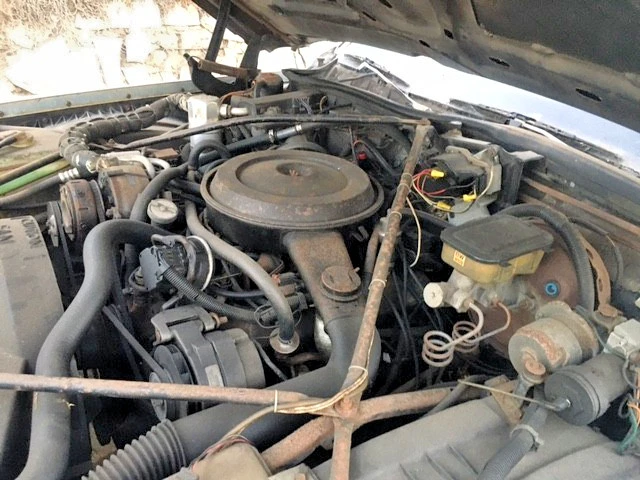 1987 Cadillac Brougham - Image 13 of 15