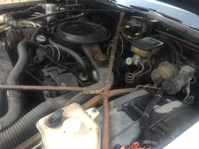 1987 Cadillac Brougham - Image 14 of 15