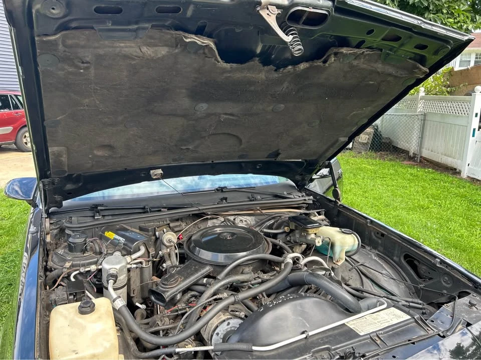 1987 Chevrolet Corsica - Image 9 of 9