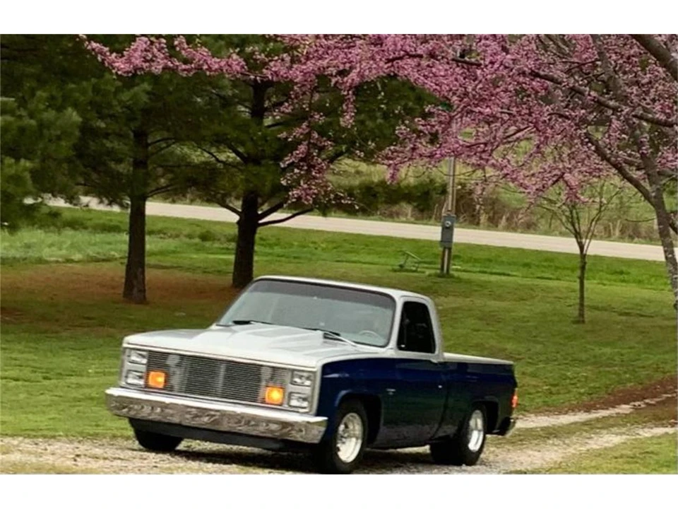 1987 Chevrolet Silverado - Image 17 of 24