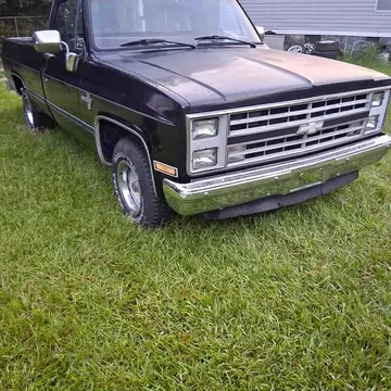 1987 Chevrolet Silverado (Classic) 1500 Regular Cab LS Pickup 2D 8 ft