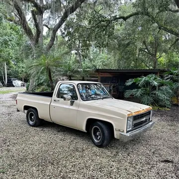 1987 Chevrolet C10 Short Bed Silverado