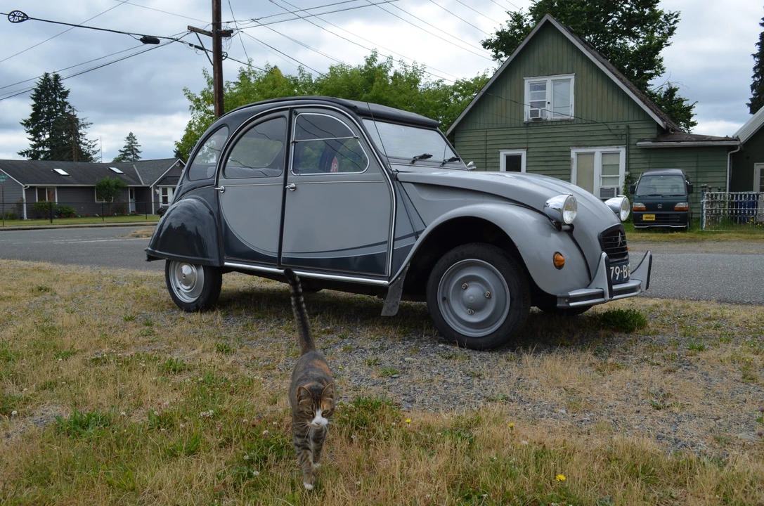1987 Citroen 2CV - Image 12 of 31