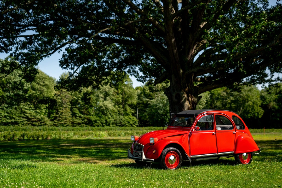 1987 Citroen 2CV - Image 6 of 31