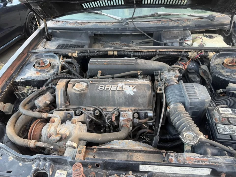 1987 Dodge Charger 5th Gen - Image 12 of 12