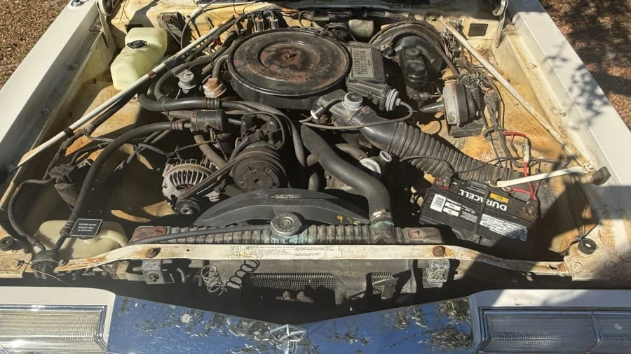 1987 Dodge Diplomat - Image 6 of 6