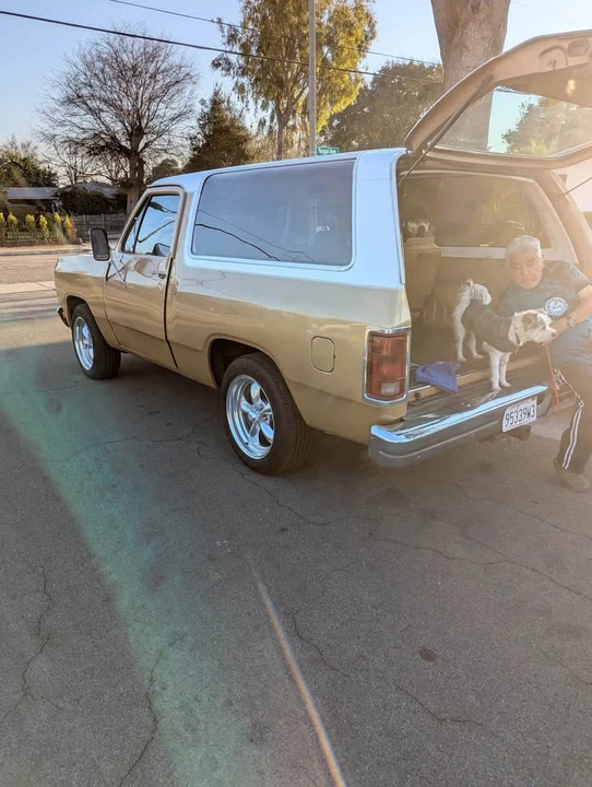 1987 Dodge Ramcharger - Image 4 of 4