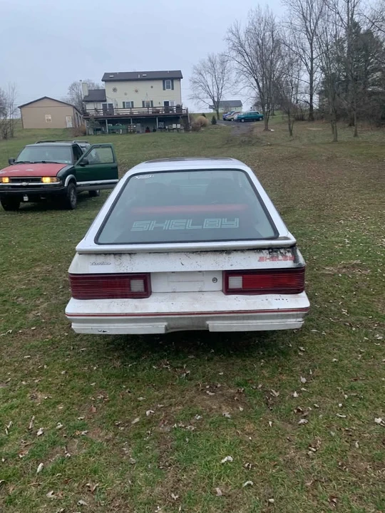 1987 Dodge Charger 5th Gen - Image 3 of 6