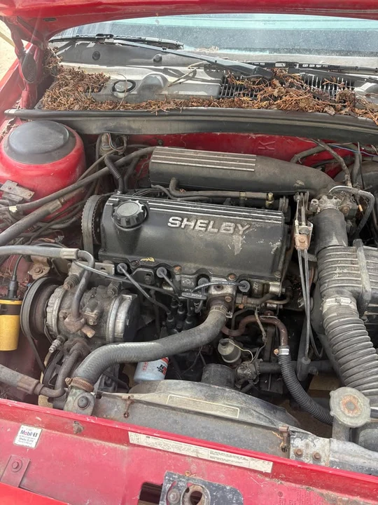 1987 Dodge Shelby Lancer - Image 5 of 5