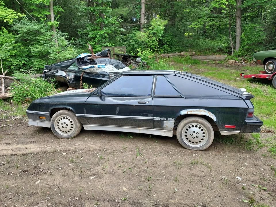 1987 Dodge Shelby Charger 5th Gen - Image 3 of 11