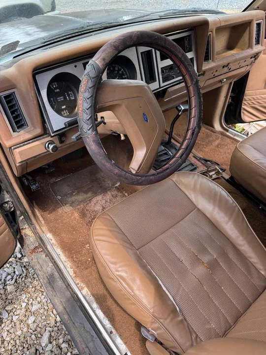 1987 Ford Bronco II - Image 14 of 14