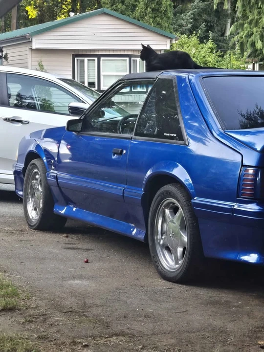 1987 Ford Mustang 3rd Gen - Image 4 of 5