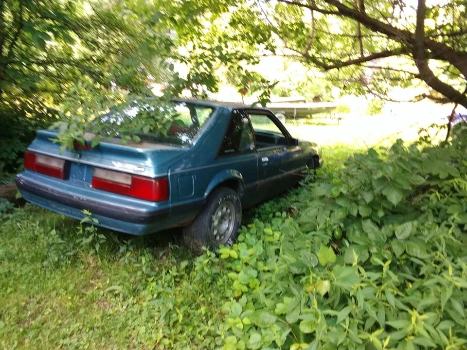1987 Ford Mustang 3rd Gen - Image 3 of 8