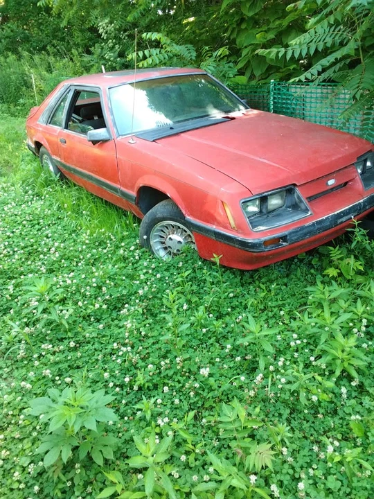 1987 Ford Mustang 3rd Gen - Image 4 of 8