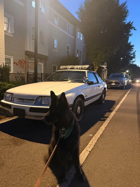 1987 Ford Mustang 3rd Gen - Image 11 of 12