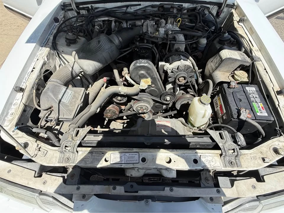 1987 Ford Mustang 3rd Gen - Image 8 of 8