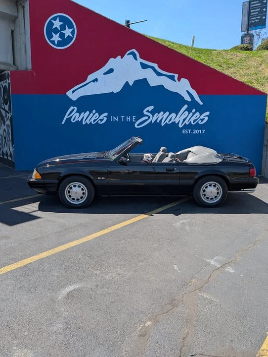 1987 Ford Mustang 3rd Gen - Image 3 of 3