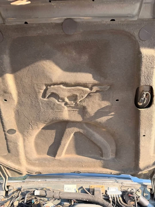 1987 Ford Mustang 3rd Gen - Image 19 of 20