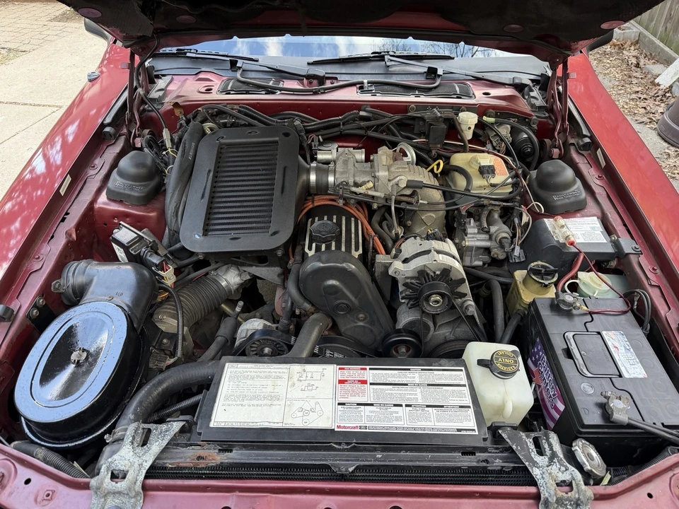 1987 Ford Thunderbird 9th Gen - Image 31 of 31